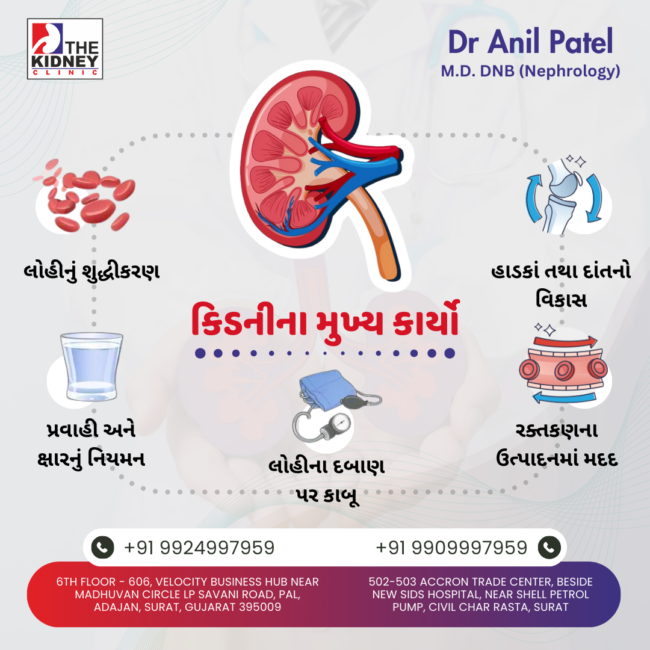 કિડનીના મુખ્ય કાર્યો